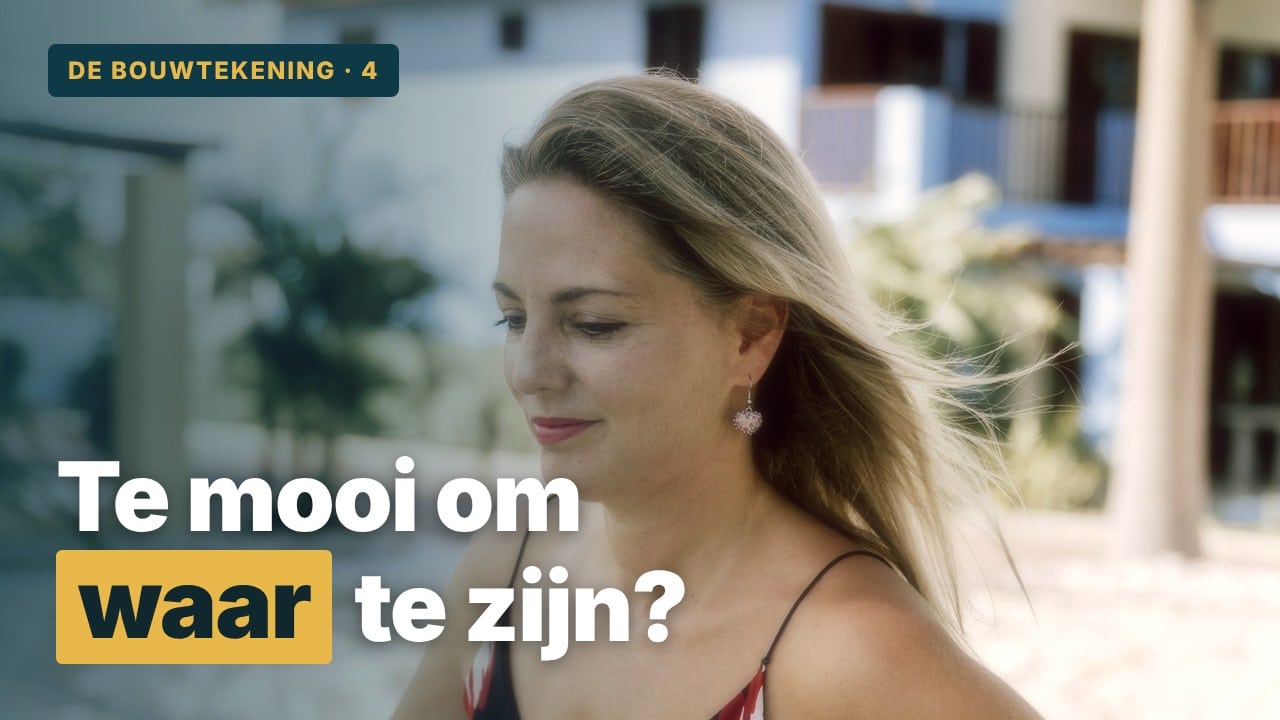 Video 4: Te mooi om waar te zijn?
